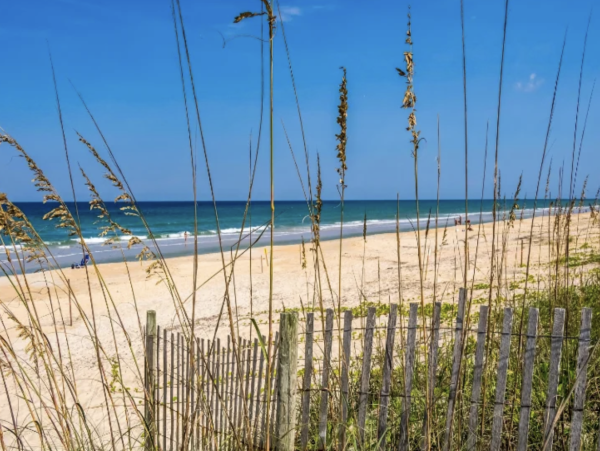 Palm Coast Condo 1047451