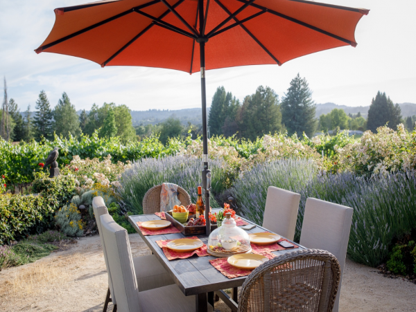 Luxury 7 Bedroom Vacation Estate in Sonoma