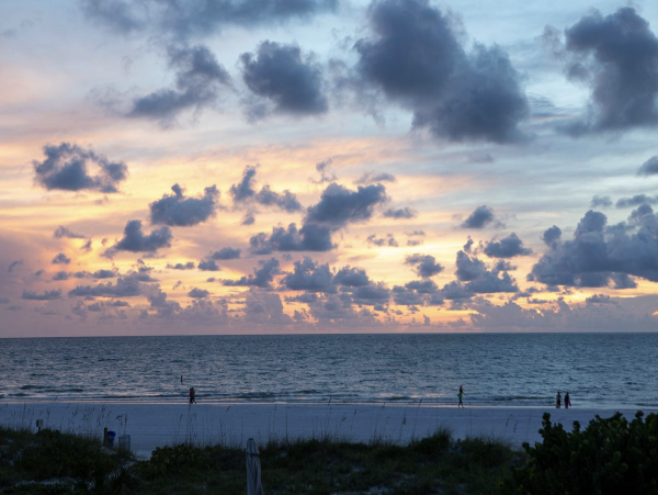 Indian Rocks direct Beach front Condo New Arrival -
