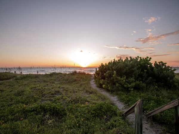 Indian Rocks direct Beach front Condo New Arrival -
