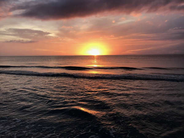 Indian Rocks direct Beach front Condo New Arrival -