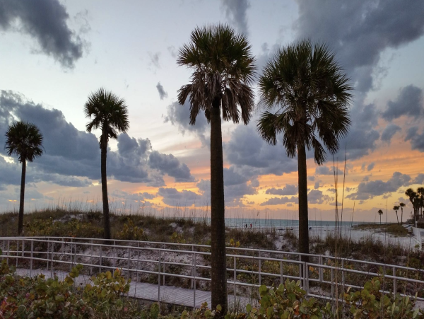 Indian Rocks direct Beach front Condo New Arrival -