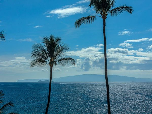 Ocean Front Two Bedroom Rental Condo in Kihei