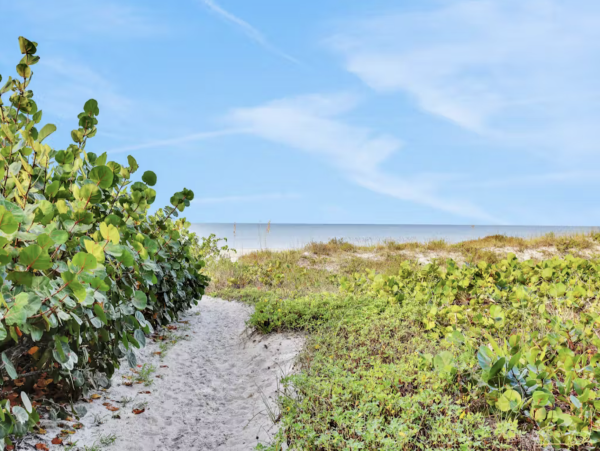 NEW ARRIVAL Great Beach Condo Walk Out Steps to Sand