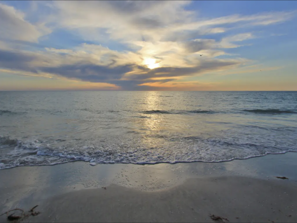 Lovely Lanai & Water Views Maderia Beach Rental