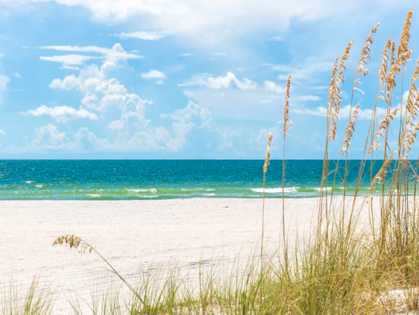 Spacious 1-Bedroom Condo with Gulf Views