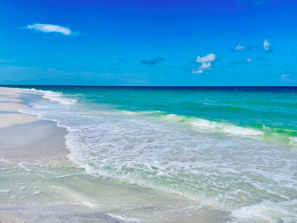 Charming Gulf-Front Condo on St. Petersburg
