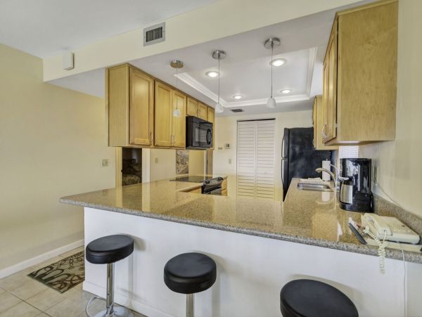 St. Petersburg Condo 1048114