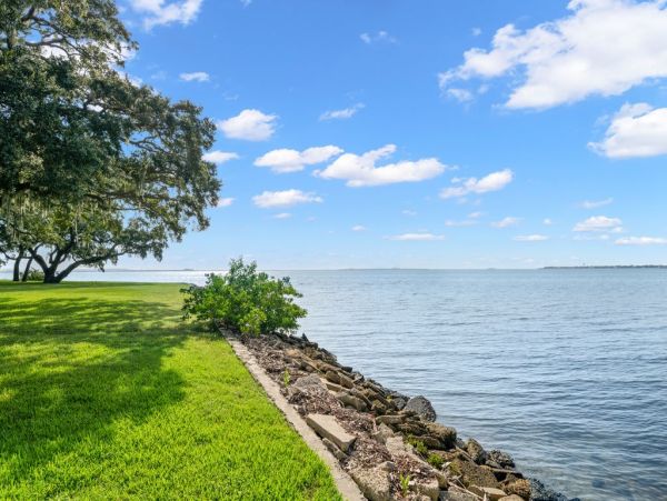 Tampa Home 1048155