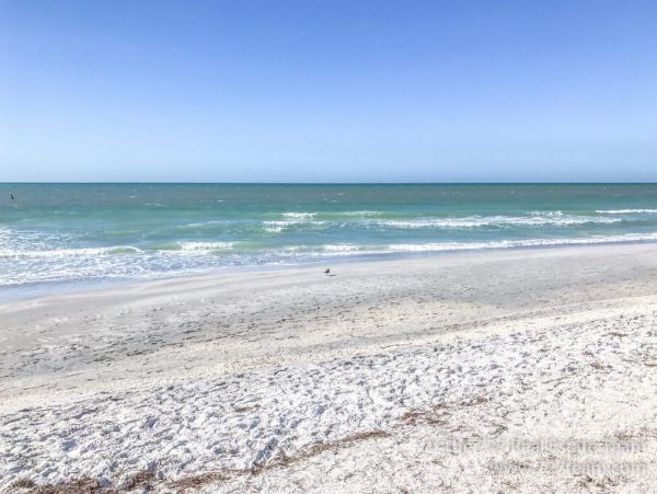 Oceanfront 2 Bedroom Vacation Condo in Indian Shores