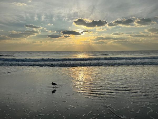 Oceanfront Dream Rental in South Jacksonville Beach Your Perfect Getaway