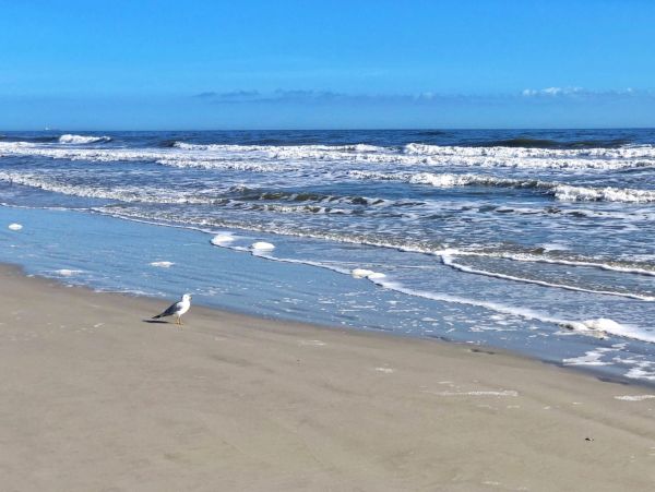 Oceanfront Dream Rental in South Jacksonville Beach Your Perfect Getaway