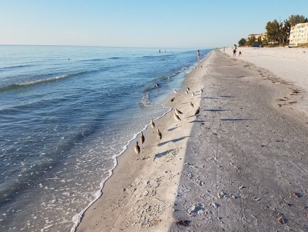 Indian Shore Vacation Cottage Two Bedroom Walk to Beach