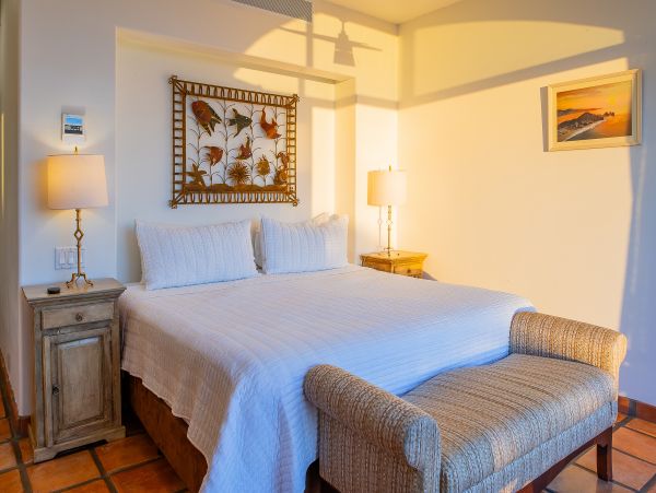 Cabo San Lucas Vacation Home Eight Bedroom with Pools