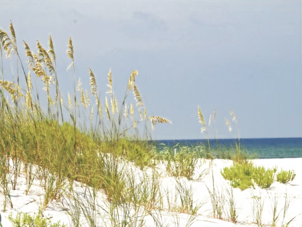 Navarre Sound Vacation Rental - Pet Friendly Waterfront Home