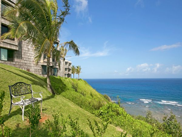 Princeville Condo 1049723