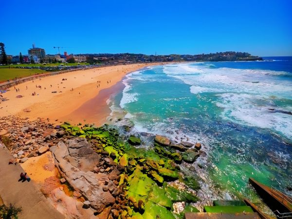 Mission Beach Vacation Condo Three Bedroom Walk to Beach