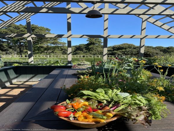Private Gardens Organic Vegetables Spa Like Retreat