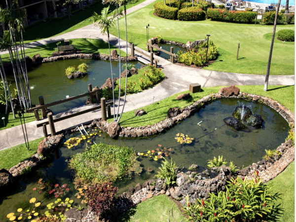 Pent House Maui Condo Views & Loft!