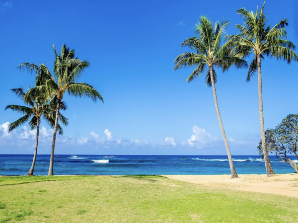 Absolute luxury Throughout Views, Beach Five Star all the Way
