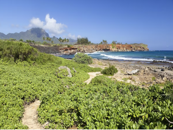 Absolute luxury Throughout Views, Beach Five Star all the Way