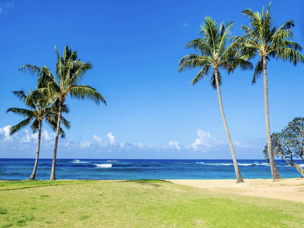 North Shore Condo Style Villa Can Sleep 9 Guests