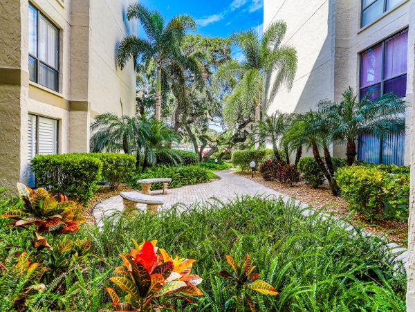 Siesta Key Vacation Condo One Bedroom Sleeps Six Guests