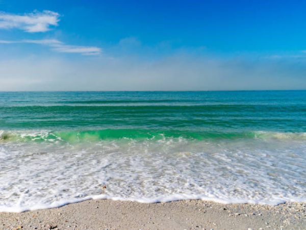Charming Golf Community 2 Bedroom Condo in St. Petersburg