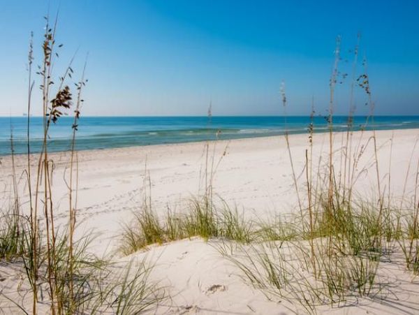 Choose this 5 Bdrm Home and Enjoy the Shores of Scenic Fort Morgan