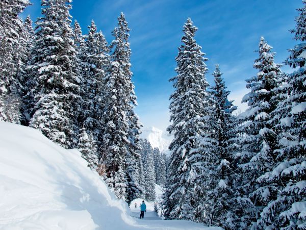 Bachelor Gulch Vacation Condo Four Bedroom Ski in -Ski out
