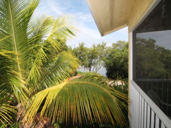 Boca Grande Condo 1052394