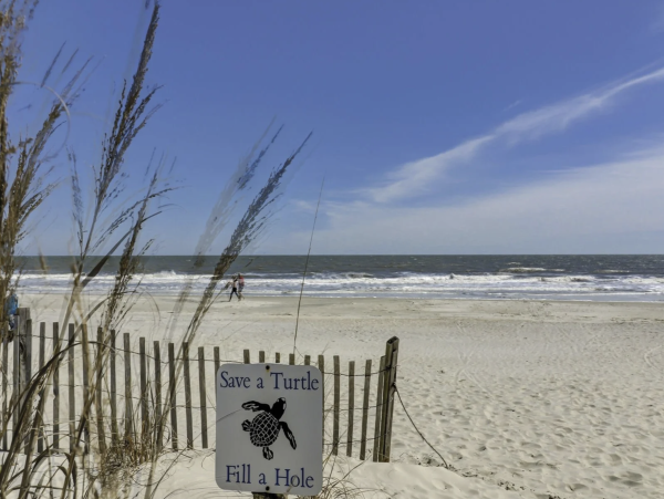 Hilton Head Oceanfront Vacation Rental - South Forest Beach Luxury Home