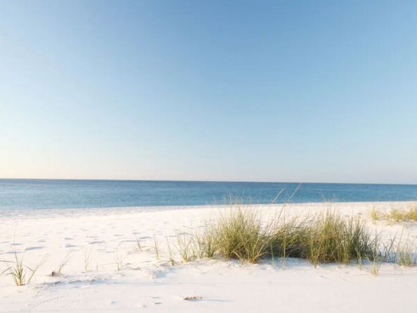 Gulf-Front Luxury Vacation Home in Orange Beach Sleeps 24