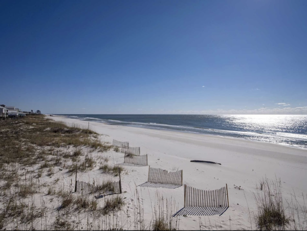 Beachfront 8 Bedroom Vacation Home in Gulf Shores with Pool