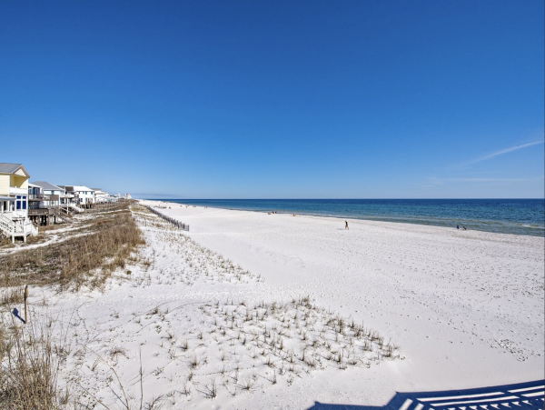 Beachfront 8 Bedroom Vacation Home in Gulf Shores with Pool