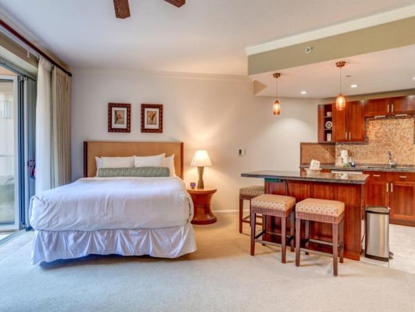 Luxury Studio for a Lovely Vacation on the Beach in Kaanapali