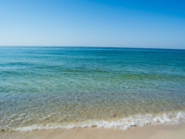 Fantastic Beachfront Home in Orange Beach Sleeps 28 Guests!