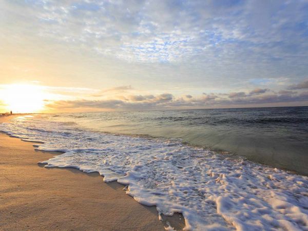 Beachfront 7 Bedroom Home in Gulf Shores