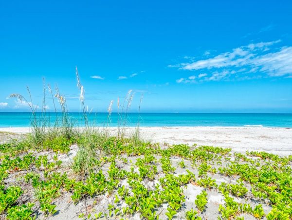 Lovely Vacation Condo in Siesta Key with Gulf Views