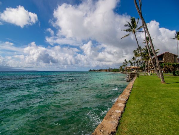 Maui Oceanfront Vacation Rental Luxury 3-Bedroom Condo near Kaanapali Beach