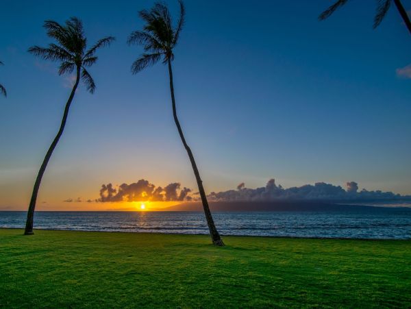 Maui Oceanfront Vacation Rental Luxury 3-Bedroom Condo near Kaanapali Beach