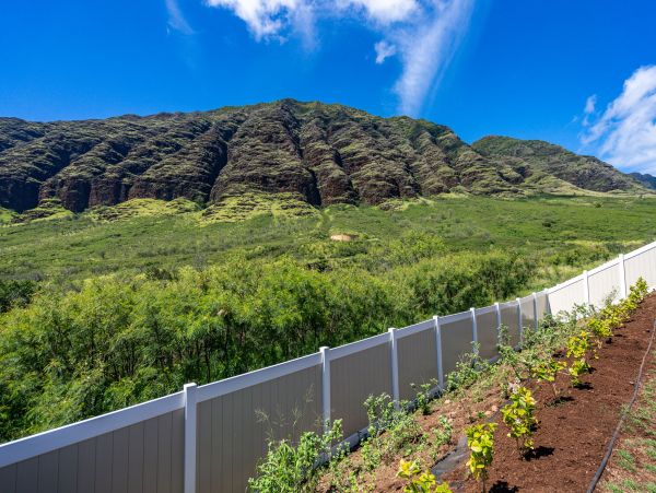 Kapolei Home 1054351
