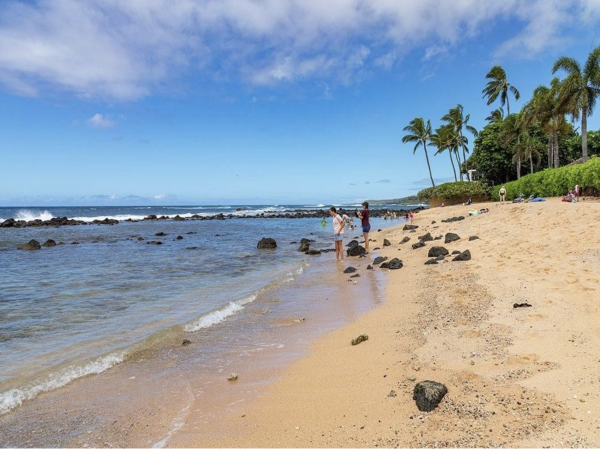 Exceptional Residence World Class Kauai South Coast Rental