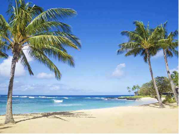 Luxury Kauai Vacation Home Away From Home NEW ARRIVAL