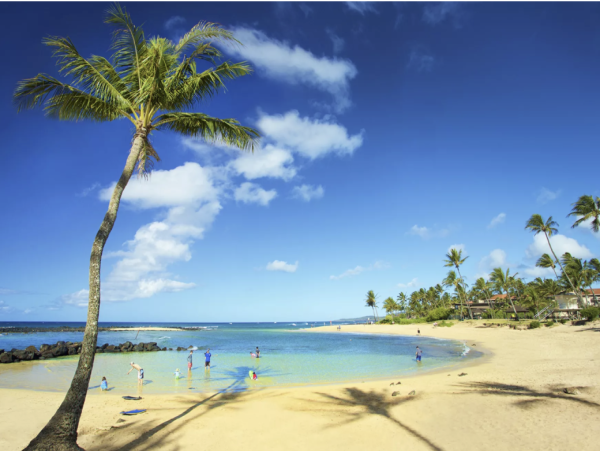 Kauai Three Bedroom Can Accommodate Up to Eight Guests
