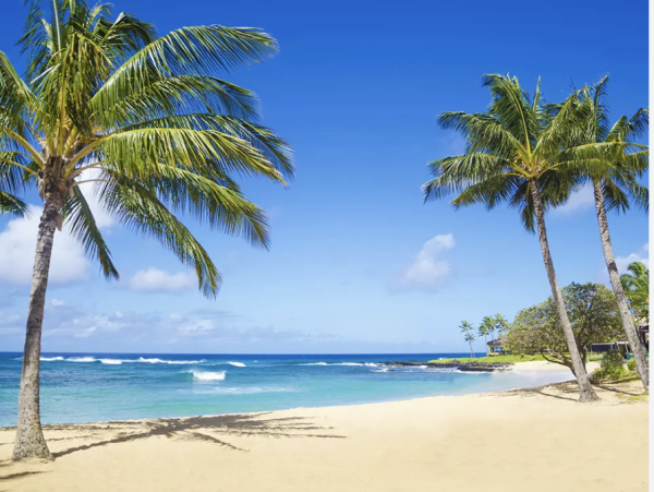 Charming 3-Bedroom Resort Retreat with a Garden in Poipu - Walk to Beach