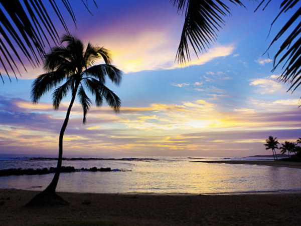 Charming 3-Bedroom Resort Retreat with a Garden in Poipu - Walk to Beach