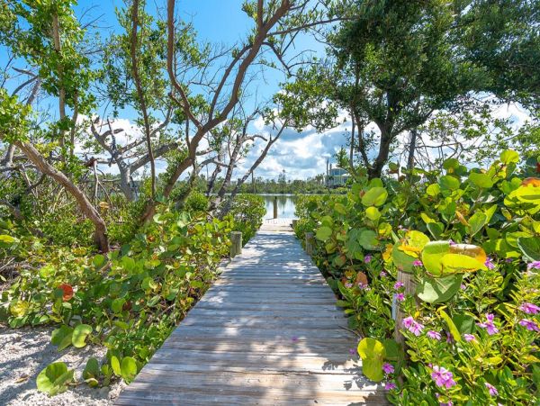 Palm Island Paradise Vacation Home