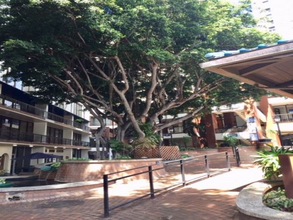 Honolulu Diamond Head Kahala Condo 1054620