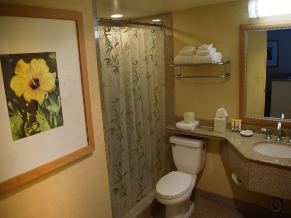 Honolulu Diamond Head Kahala Condo 1054714